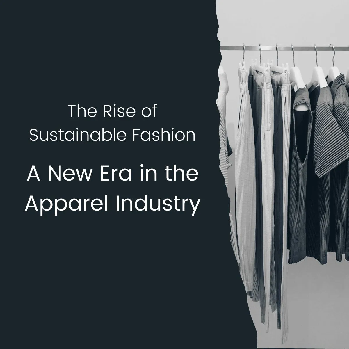 The Rise of Sustainable Fashion: A New Era in the Apparel Industry